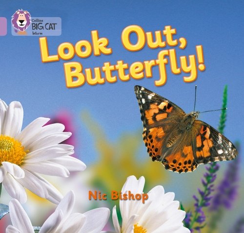 Look Out Butterfly!