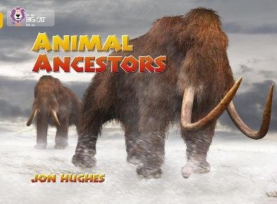 Animal Ancestors