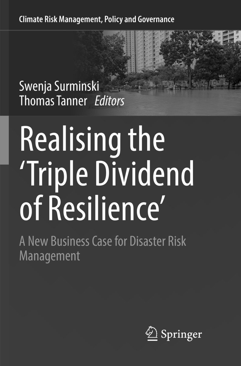 Realising the 'Triple Dividend of Resilience'