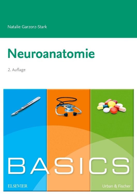 Basics Neuroanatomie