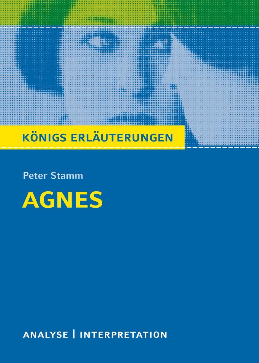 Agnes von Peter Stamm